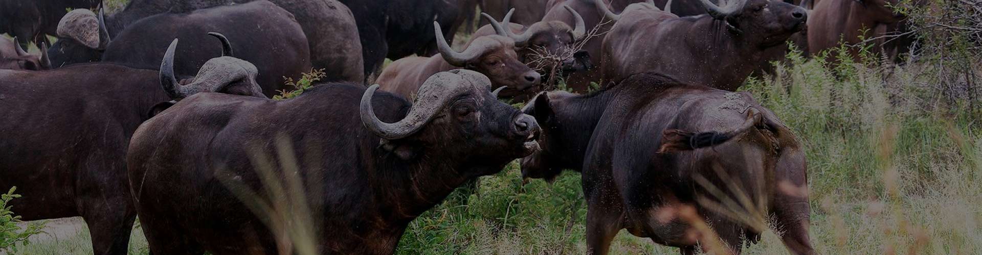 Arusha National Park