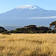 Kilimanjaro National Park