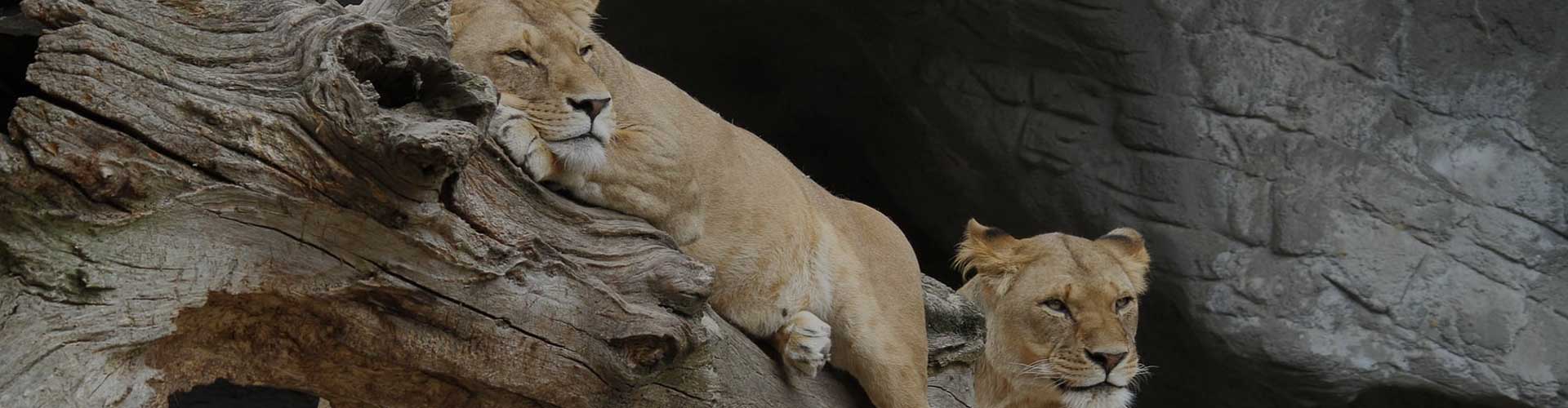 Lake Manyara National Park