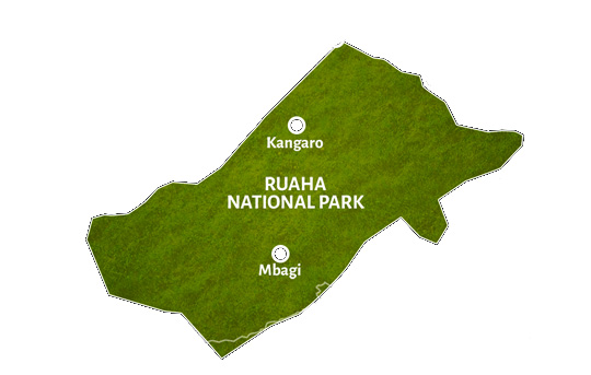 Ruaha National Park Map