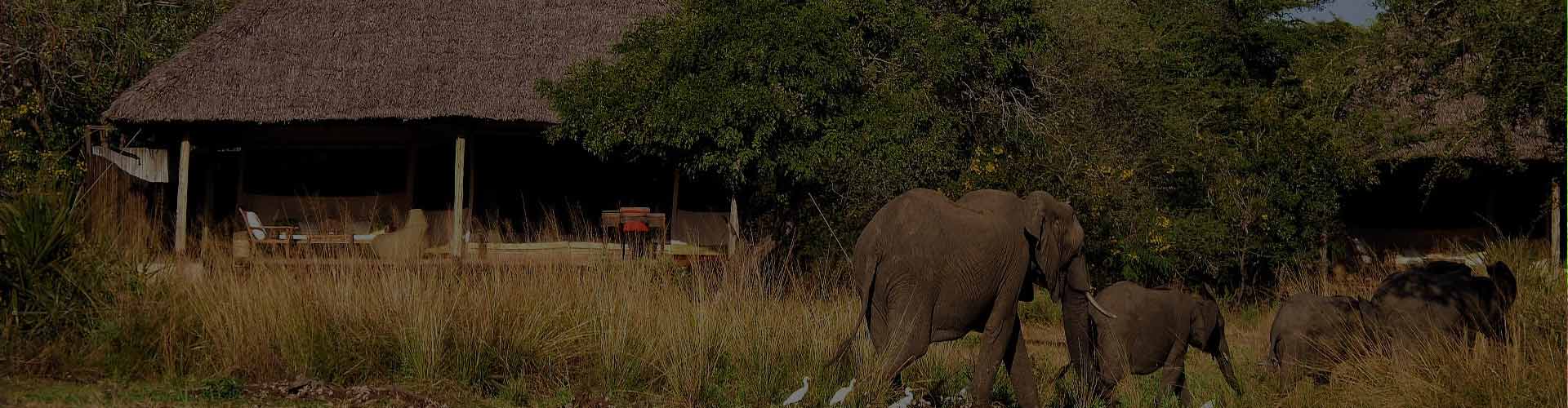 Selous Game Reserve