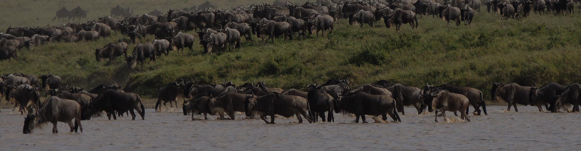 Serengeti National Park