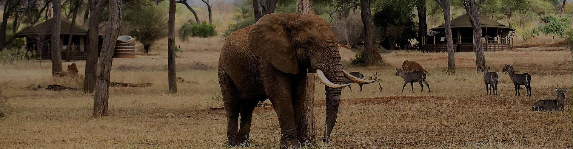 Tarangire National Park