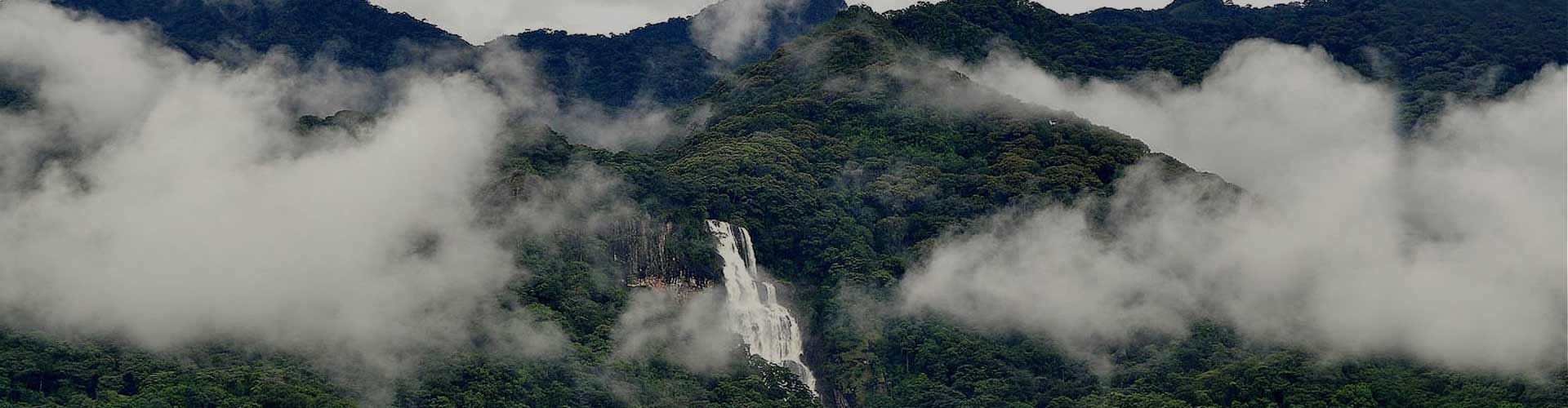 Udzungwa National Park