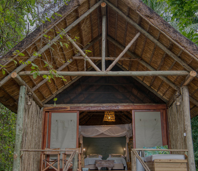 Mahale National Park