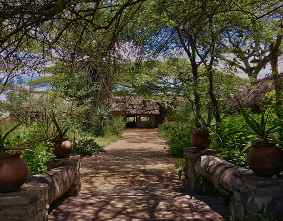 Ndutu Safari Lodge