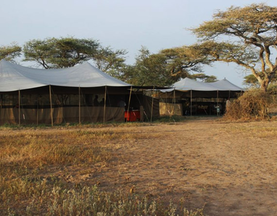 Ndutu Wilderness Camp