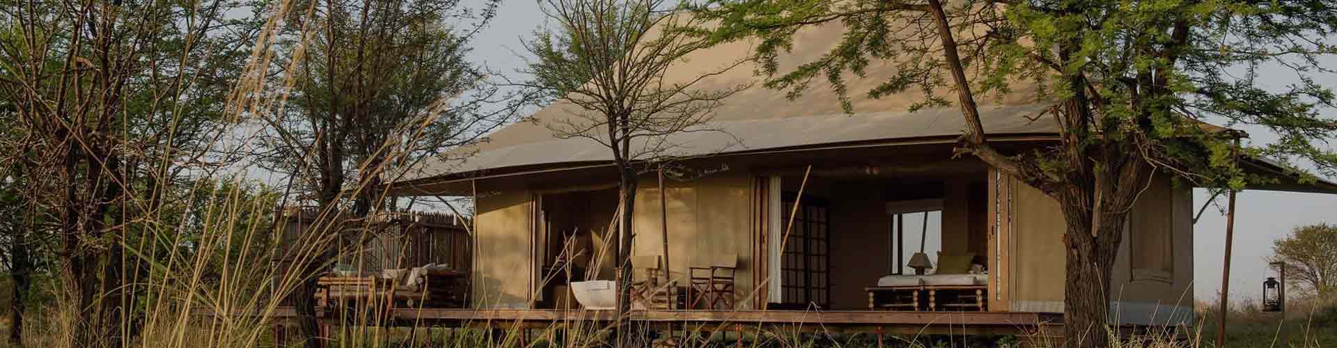 Sayari Camp, Serengeti