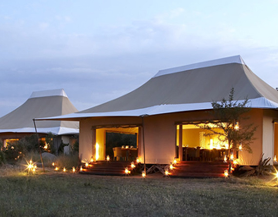 Sayari Camp, Serengeti