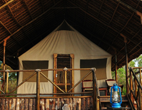 Selous Riverside Safari Camp