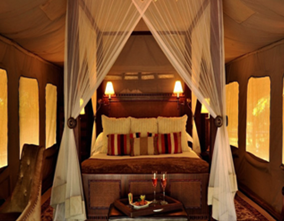 Selous Serena Camp