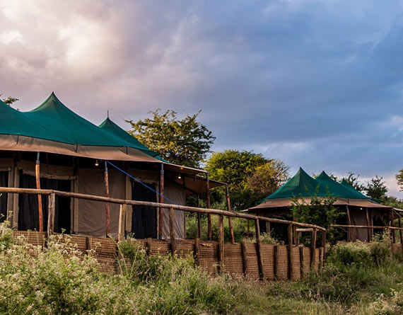 Acacia Tarangire Luxury Camps