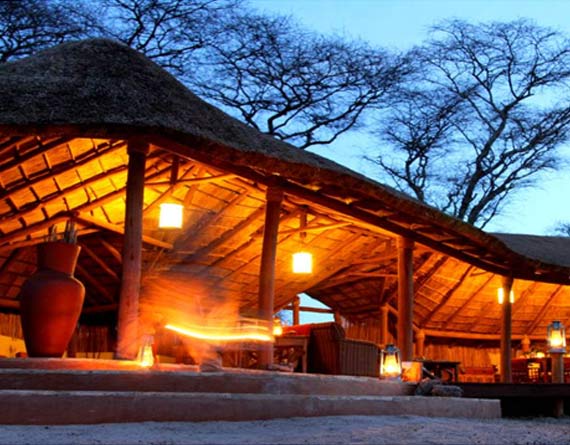 Little Olivers Camp Safaris