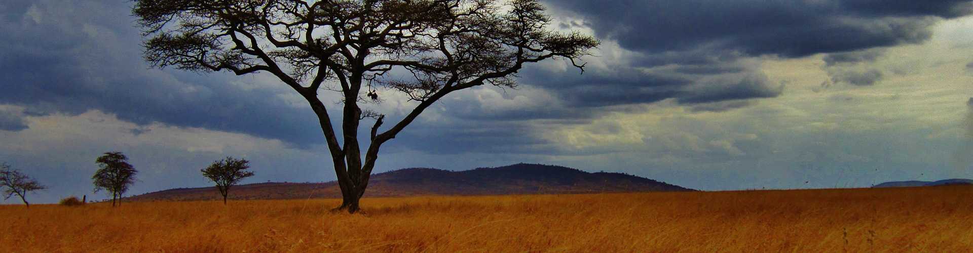 Marangu Route