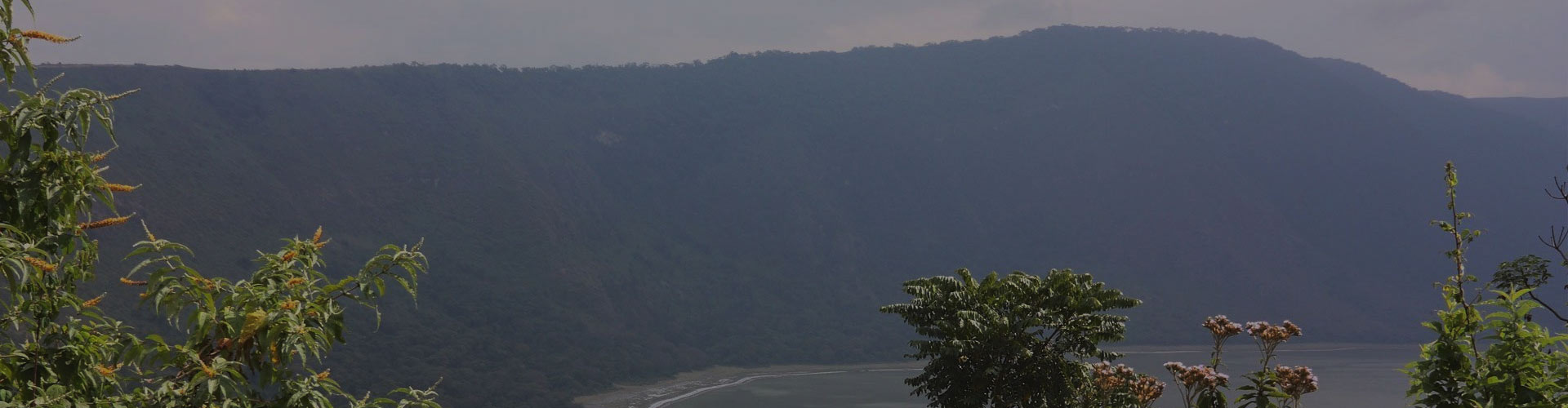 Ngorongoro Highlands