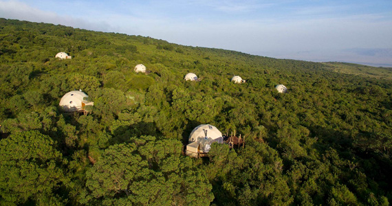 Ngorongoro Highlands