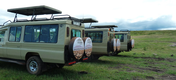 Safari Vehicle